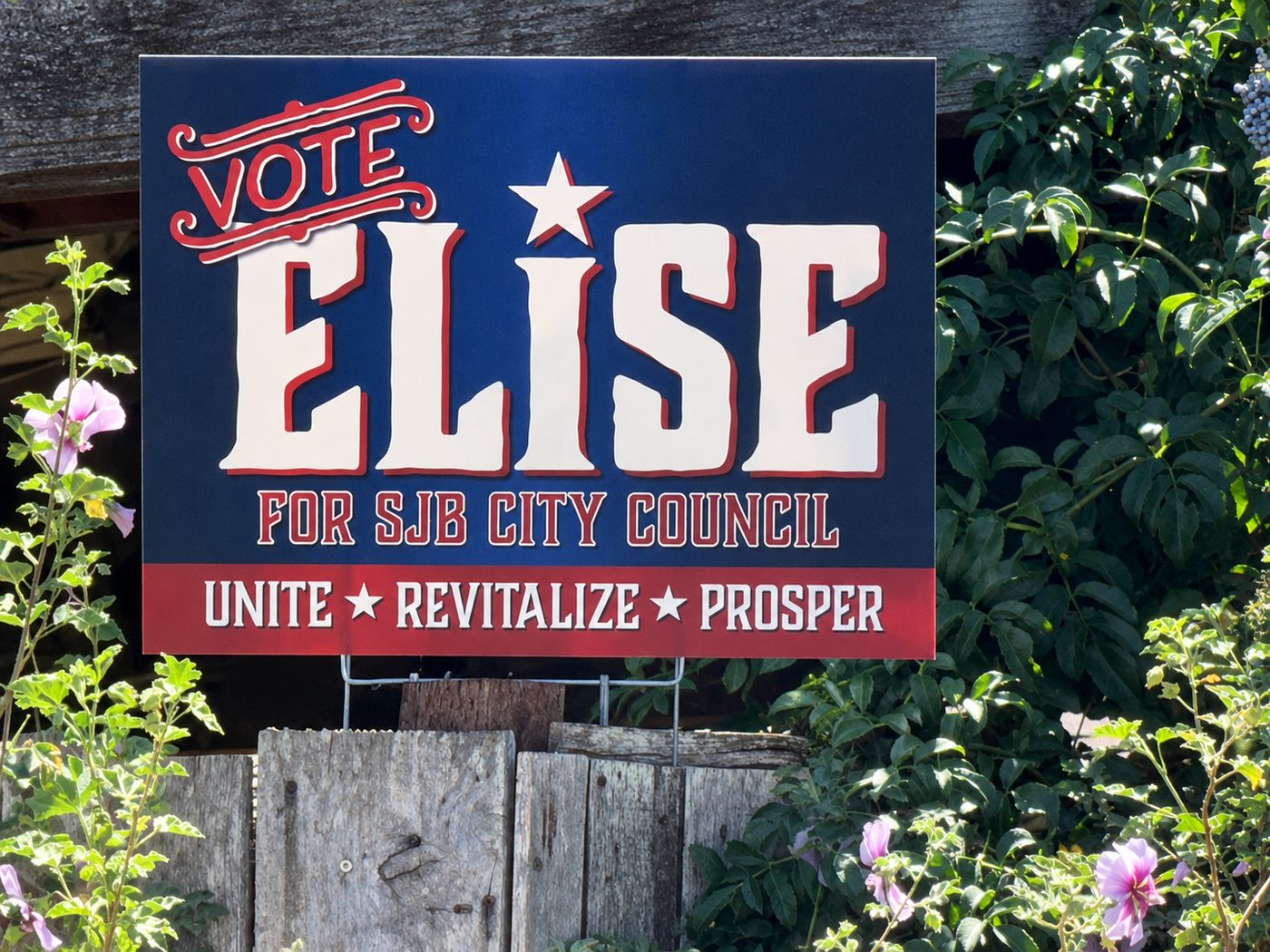 A Vote Elise yard sign mounted on a fence, surrounded by flowers